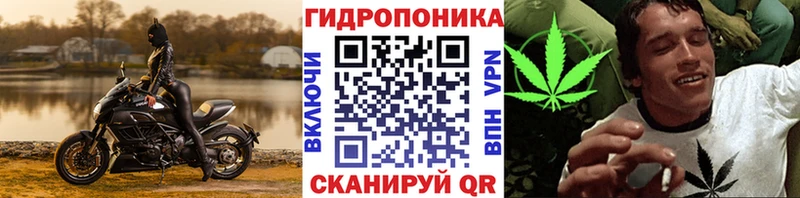 Где продают наркотики Завитинск Амфетамин  COCAIN  mega сайт  Бошки Шишки  Меф мяу мяу 